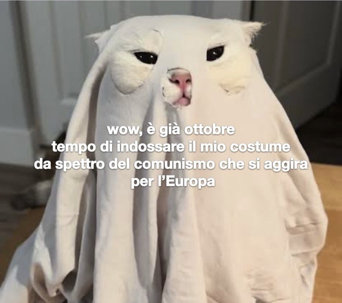 colmissima's tweet photo. Buon lunedì di ottobre https://t.co/QLiXAu0qna