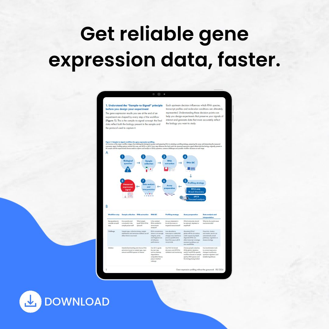 BitesizeBio's tweet photo. A well-designed gene expression workflow means fewer failed experiments, less wasted reagent, and more reliable data. Get expert advice on whole workflow design. Download now  → https://t.co/EzH4gj0h01 #GeneExpression #RNAseq #LabTips https://t.co/xc83lqOB9p