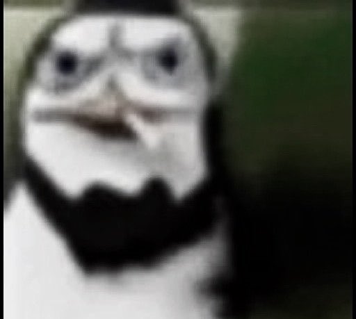 xscigz's tweet photo. my therapist asked me what’s been bothering me lately and i said the 2027 french elections and started crying https://t.co/SQ8QgjLlwq