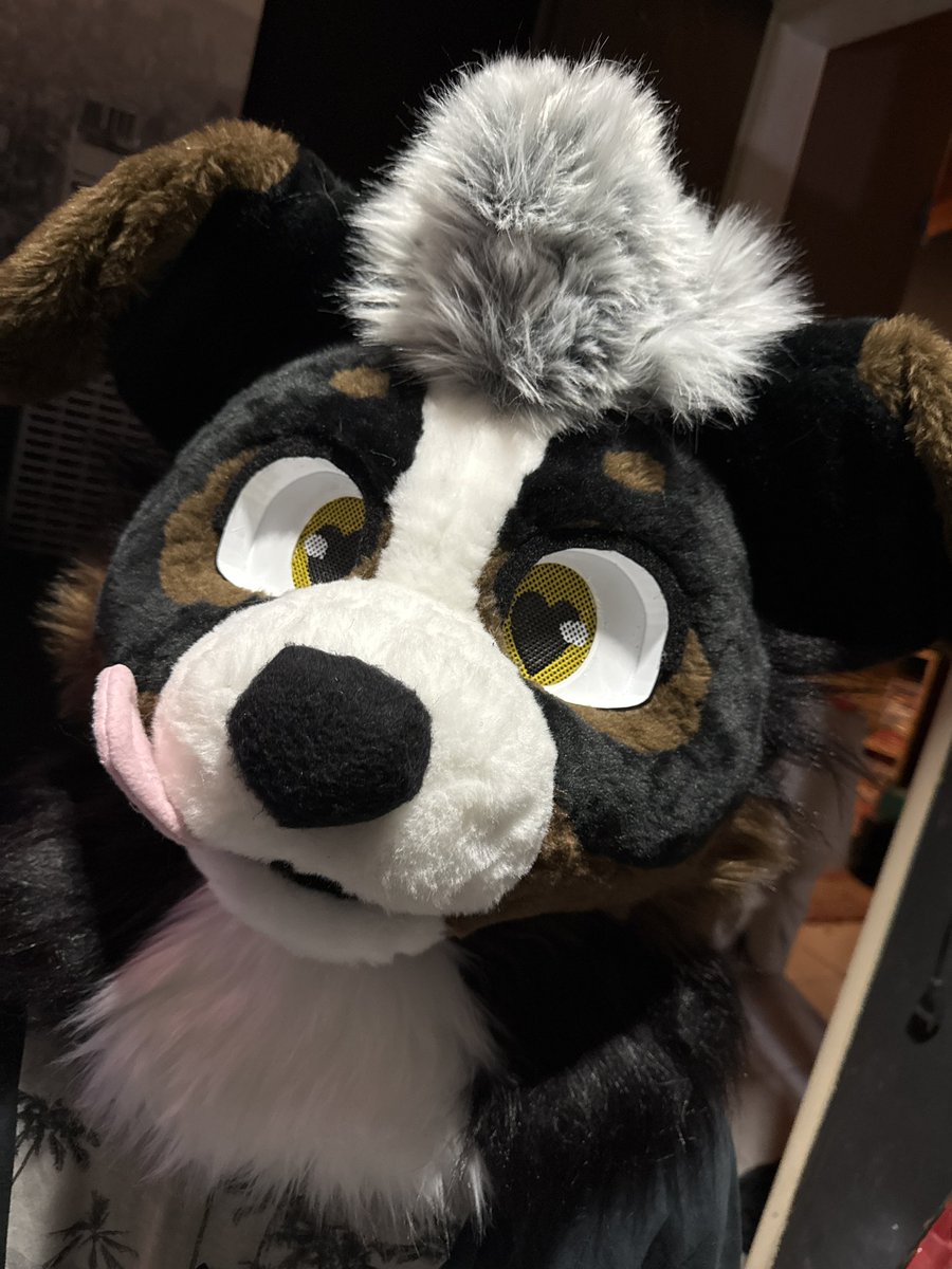MisticalStairs's tweet photo. Decided I wanna be puppy<33 https://t.co/qgUqwxy7x9