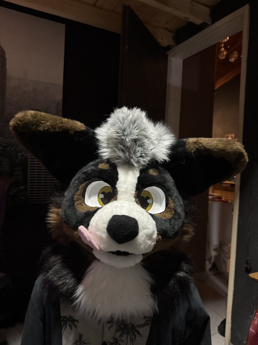 MisticalStairs's tweet photo. Decided I wanna be puppy<33 https://t.co/qgUqwxy7x9