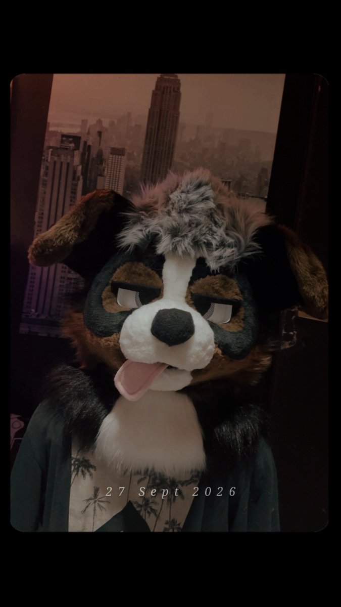 MisticalStairs's tweet photo. Decided I wanna be puppy<33 https://t.co/qgUqwxy7x9
