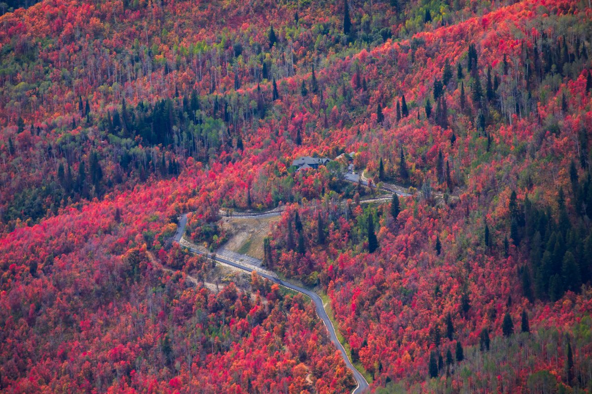 cwilliamsKSL's tweet photo. Utah's color palette has been absolutely stunning this fall https://t.co/gXNgwZOZcD
