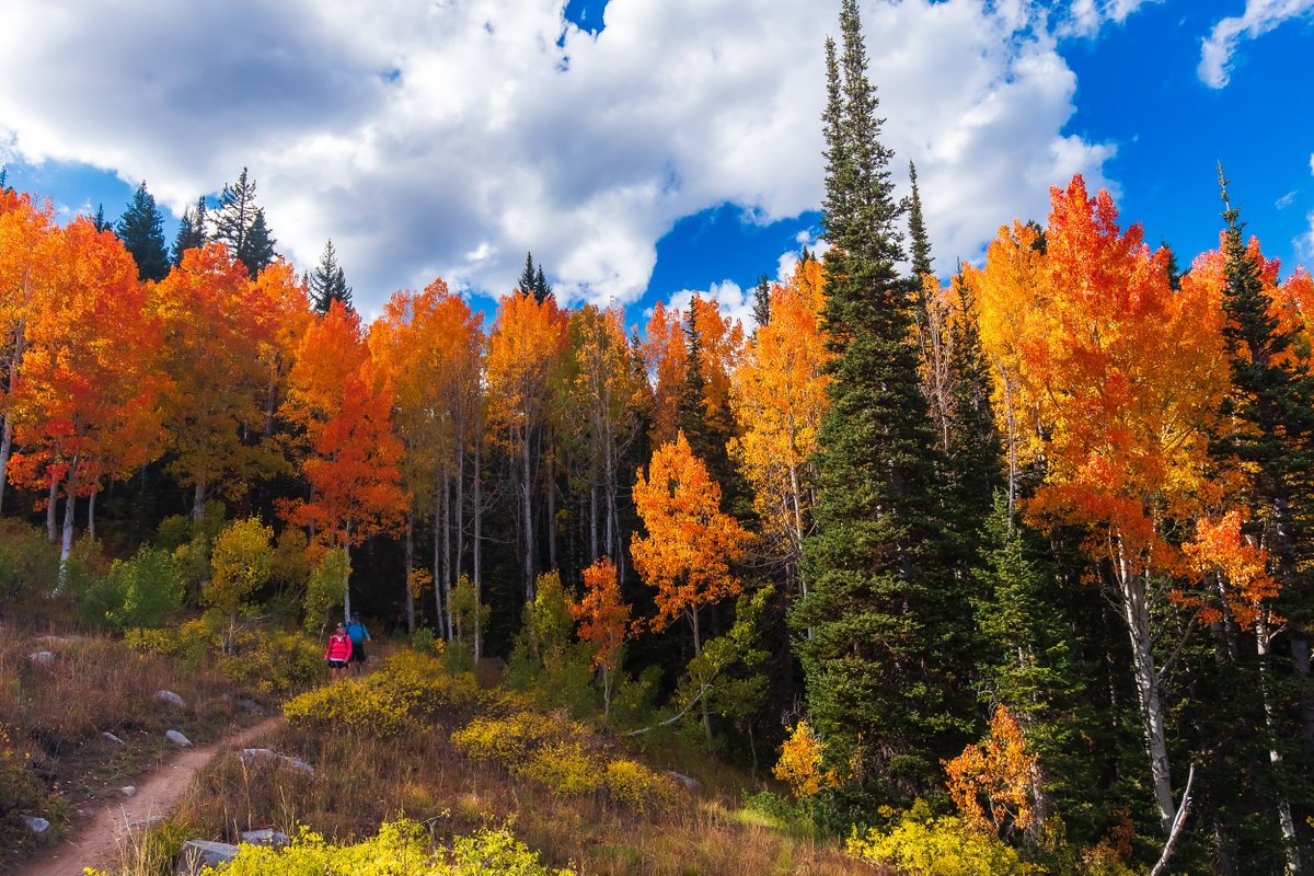 cwilliamsKSL's tweet photo. Utah's color palette has been absolutely stunning this fall https://t.co/gXNgwZOZcD