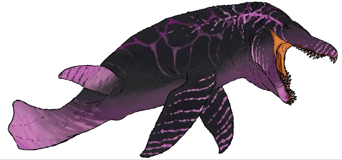 somelivinggguy's tweet photo. Kronosaurus https://t.co/ISYtwJALx3