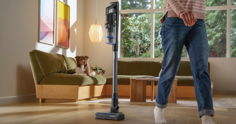 Hip2Save's tweet photo. Pet parents, this oneβs for you! π±πΆ The Bissell PowerClean FurGuard Cordless Vacuum is just $179.99 shipped for Prime members (regularly $300)! π±#BissellFallRefresh #AD
https://t.co/Q8OiIflxAp https://t.co/hKKYfKpIso