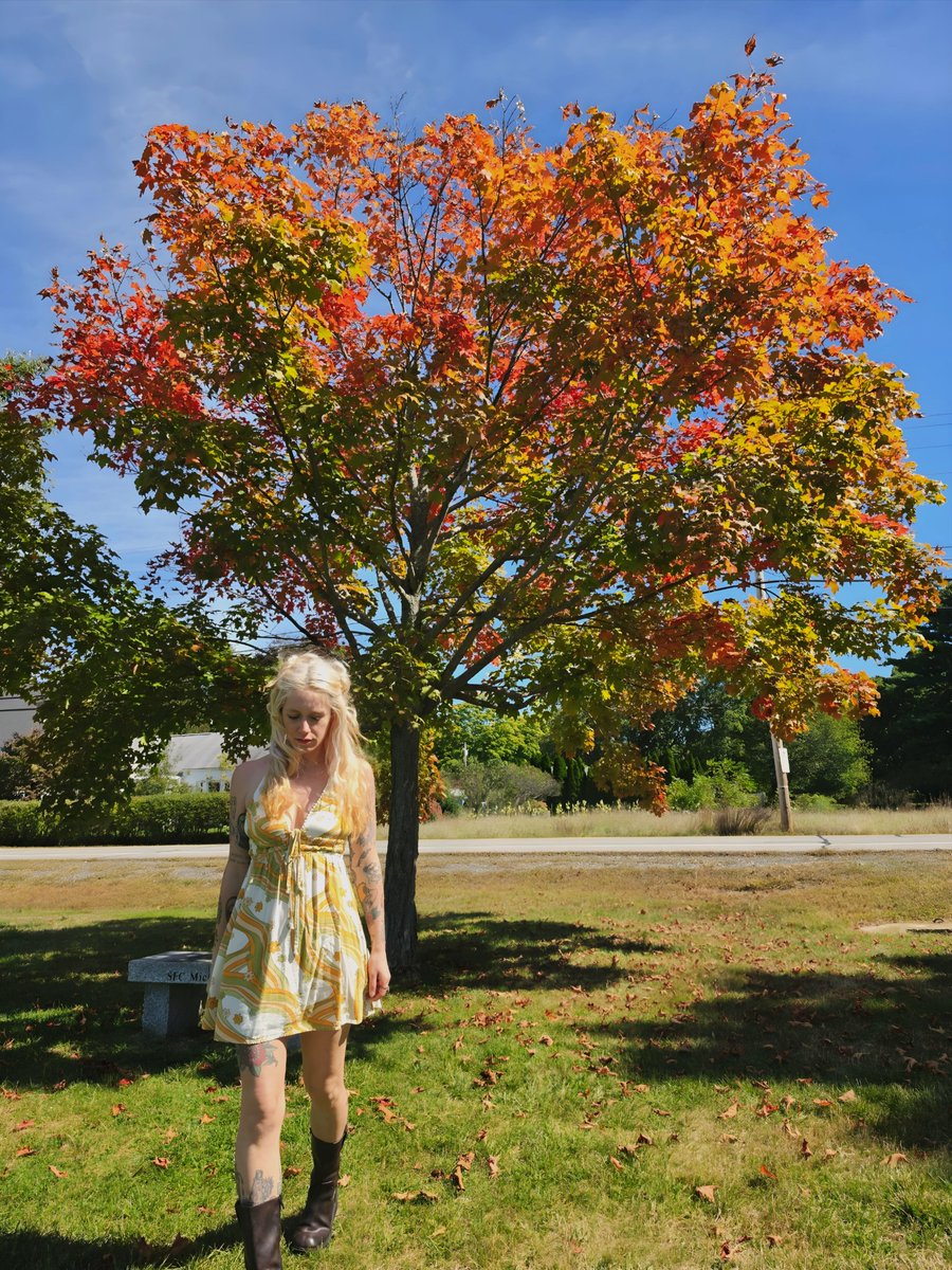 tuffanieee's tweet photo. i love you fall foliage https://t.co/3Cq31nvFuH