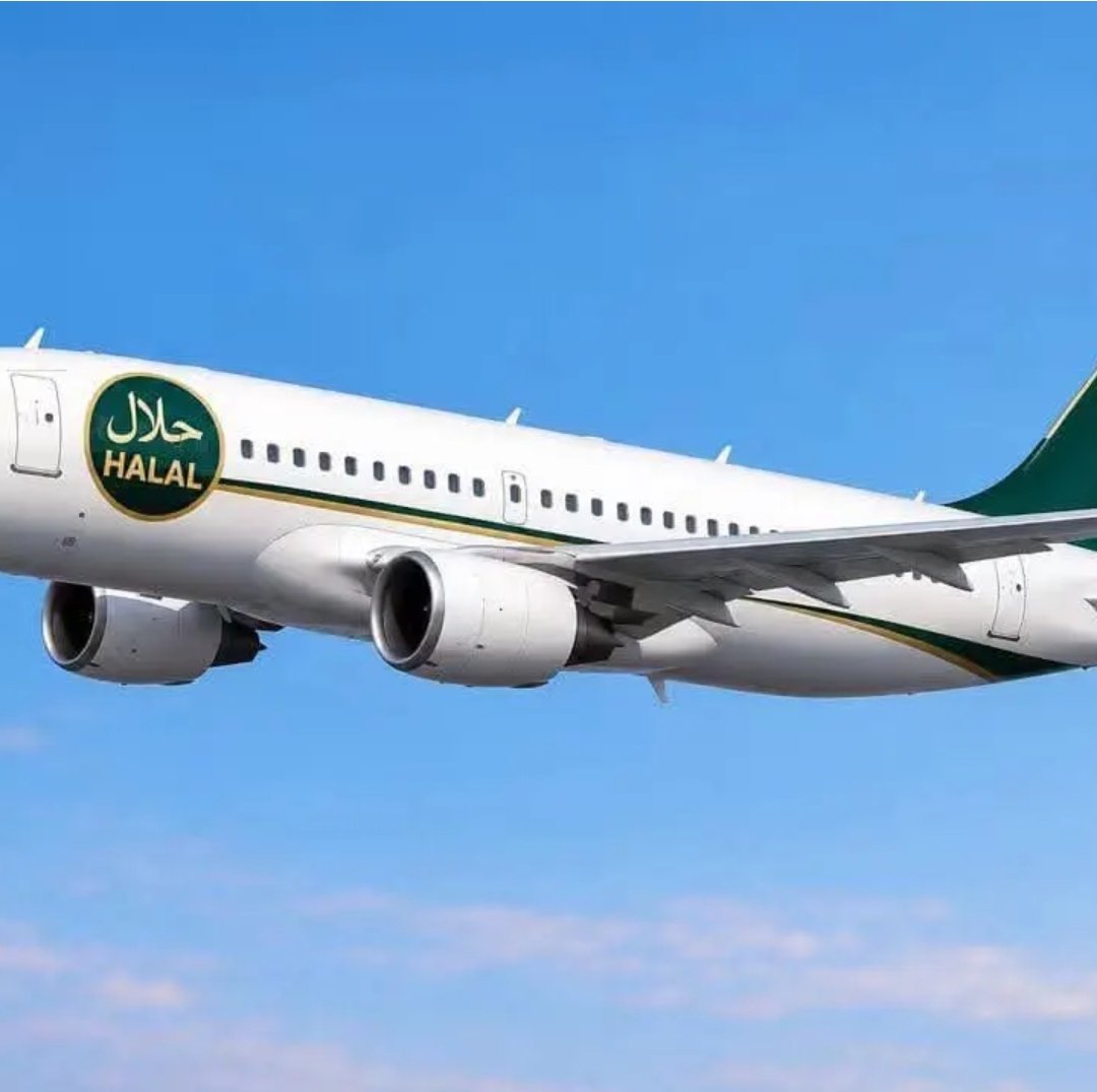Krishan10_'s tweet photo. Why the hate campaign; " No Muslim pilots"?

Isn't there simple solution to this!

Give a small 'Halal' stamp to aircraft  flown by Muslim pilots. Two options when booking flights:-
Regular flight
Halal flight

People will decide. https://t.co/KCxK2k02uC