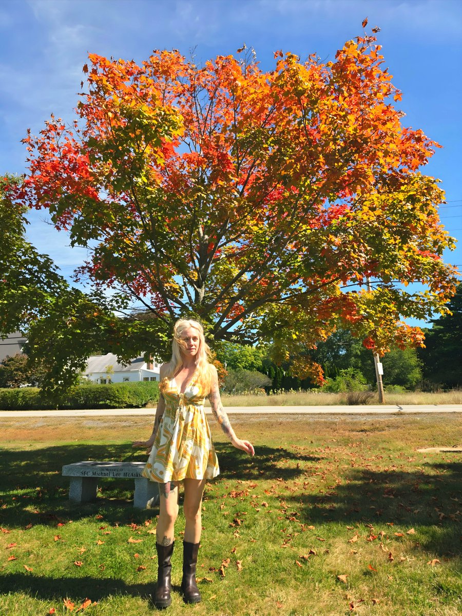 tuffanieee's tweet photo. i love you fall foliage https://t.co/3Cq31nvFuH