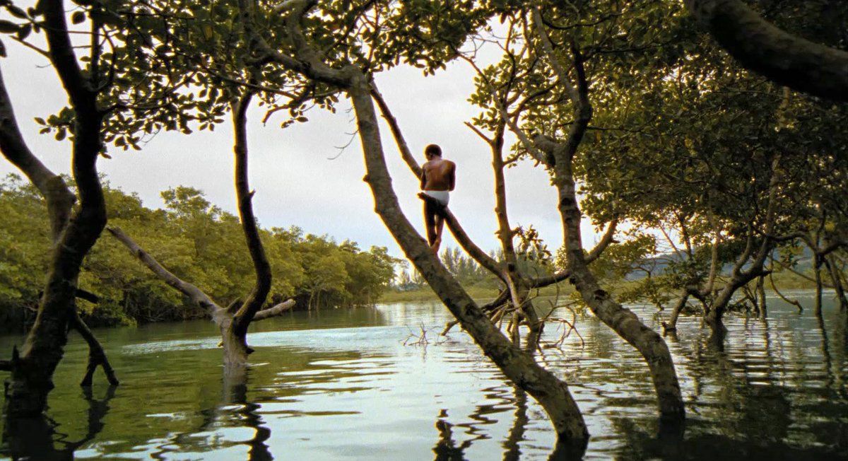filmfr4me's tweet photo. City of God (2002)
director: Fernando Meirelles https://t.co/4AXJtrdaSm
