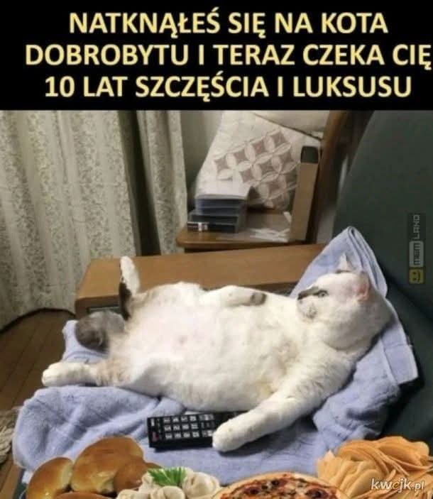 Antoni01012001's tweet photo. @nobeatryczka https://t.co/DY3gkO80ri