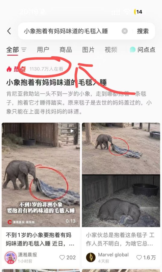 itreallyisLil's tweet photo. 这只失去妈妈的小象 总是抱着毛毯睡觉 救助站的工作人员开始不知道为什么 后面才慢慢了解到这个是他妈妈盖过的被子 他的妈妈已经去了象星  但是他还保留着对母亲味道的记忆 非常惹人怜爱的毛毯小象 ！！  太感动了！！！  https://t.co/jm5BCvWICk... https://t.co/DnsJOfNSs7