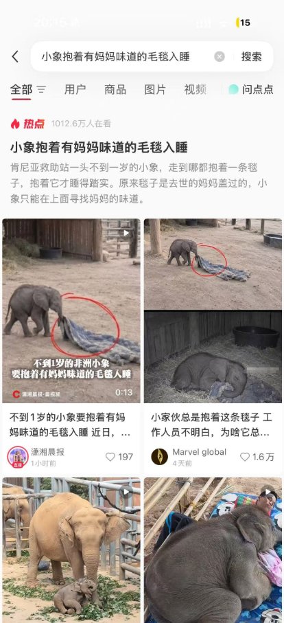 itreallyisLil's tweet photo. 这只失去妈妈的小象 总是抱着毛毯睡觉 救助站的工作人员开始不知道为什么 后面才慢慢了解到这个是他妈妈盖过的被子 他的妈妈已经去了象星  但是他还保留着对母亲味道的记忆 非常惹人怜爱的毛毯小象 ！！  太感动了！！！  https://t.co/jm5BCvWICk... https://t.co/DnsJOfNSs7