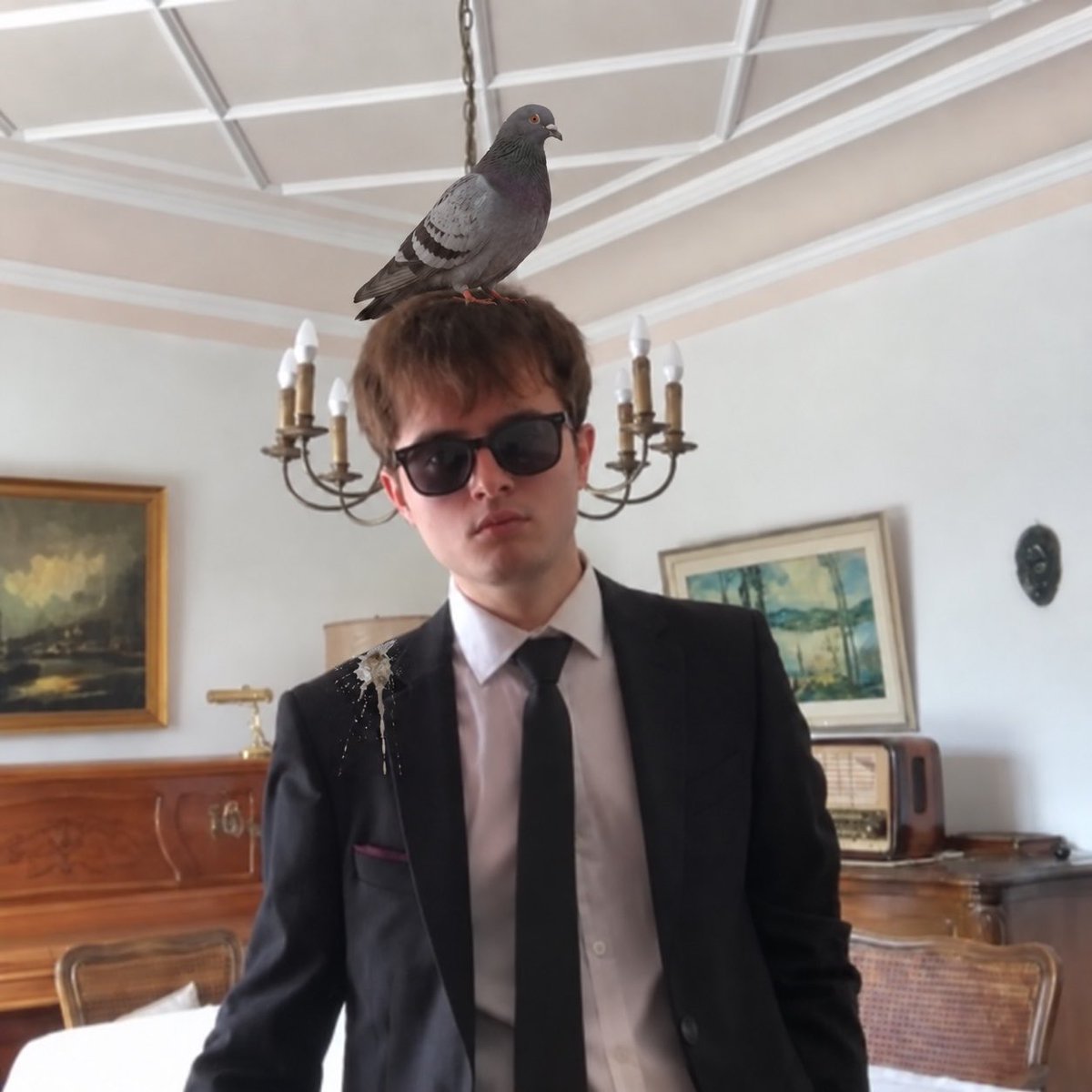 cedvelcom's tweet photo. @AdrianFPascal You’ve got a bird on your head, and it’s shat on your shoulder. If you had even an ounce of sense, you’d realize that pretty much anything can be done with artificial intelligence. https://t.co/Ab3VNftH6E