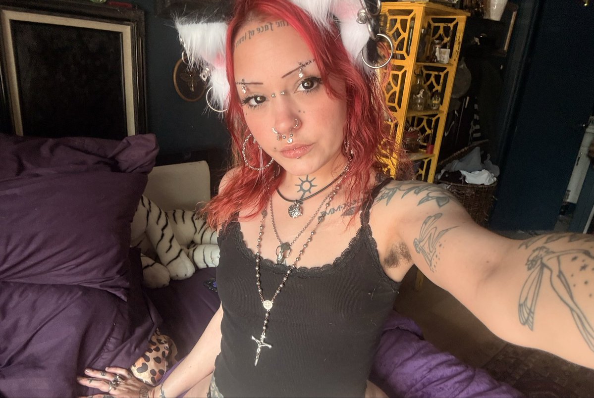 VesperValentine's tweet photo. Buy this pretty kitty some treats 😻😻😻 cashapp~ $veesper https://t.co/3Bstnz2UlT