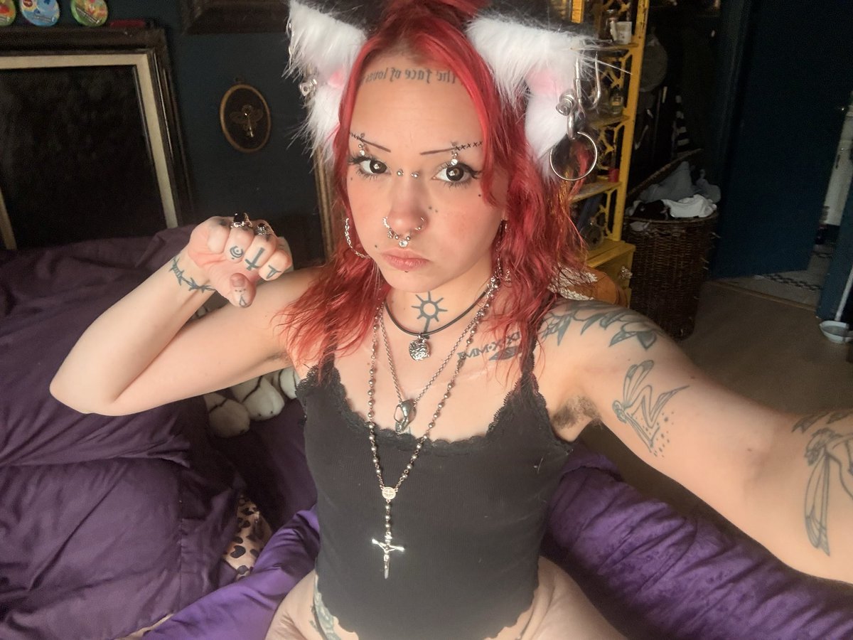 VesperValentine's tweet photo. Buy this pretty kitty some treats 😻😻😻 cashapp~ $veesper https://t.co/3Bstnz2UlT