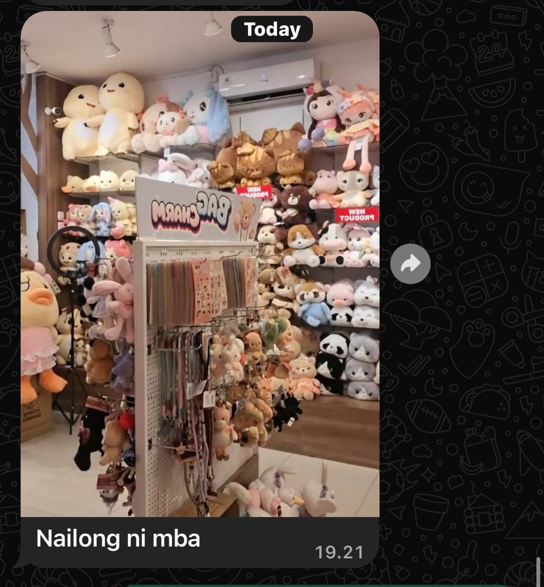 Justrosequartz's tweet photo. Dari sabtu uda beli boneka 4x minta tolong dianter driver, pak herman sama kak rahman. Terus pas minggu siang bilang ke kak rahman mau cari nailong. Eh tiba2 tadi diinfo ada di isbon dan kebetulan lumayan dkt rumah. Makasih kak rahman uda anterin beli boneka terusssss https://t.co/OGq24PlWDf