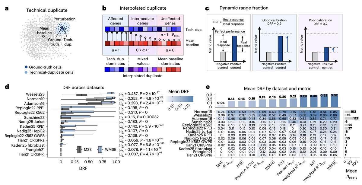 BoWang87's tweet photo. The "Single-cell foundation models don't work for perturbation prediction" narrative was a measurement problem.

Our new paper is out in @NatureBiotech : "Deep Learning Perturbation Models Can Outperform Baselines on Calibrated Metrics"

Last year, several papers concluded that deep learning perturbation models couldn't beat simple baselines, a finding that cast doubt on the entire Virtual Cell direction.  

We asked a different question: can the metrics used in those comparisons reliably tell a good prediction from a bad one?

Often, they can't.

Common metrics like MSE and control-referenced Pearson Δ frequently rank uninformative baselines above positive controls. With calibrated alternatives (eg, WMSE, weighted R²Δ, NIR), deep learning models do outperform mean, control, and linear baselines.

The data matters too. Norman19 is approximately 96% additive, and models see less than 1% of possible gene combinations during training. The ceiling for beating an additive baseline is nearly zero, and the training signal for non-additive interactions is almost absent. Some dataset rankings aren't model rankings, but just noise!

To address this, we developed the Dynamic Range Fraction (DRF): a measure of metric calibration. Before trusting a model ranking, verify that your benchmark can detect a useful prediction at all.

The models aren't shiny toys. The field just needed better rulers.

Paper: https://t.co/Pug5bjPrvj

Code: https://t.co/4IjsHP6Wmd

Huge congratulations to the first authors @Henrymiller2012  and Gabriel Mejia, and the team of Shift Bio!