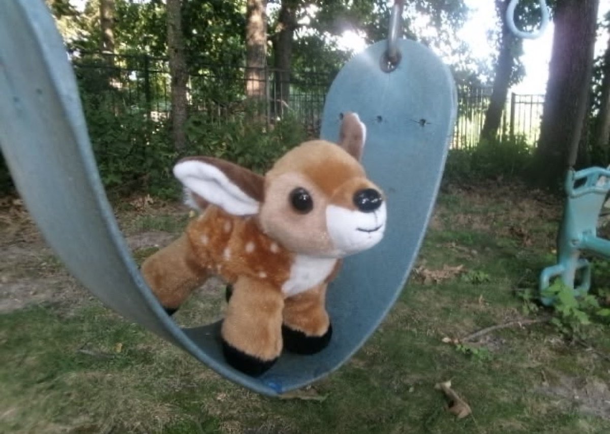 fruitpibble's tweet photo. do you wanna come and push me on da swing or do you hate me ? https://t.co/EzFotL78n0