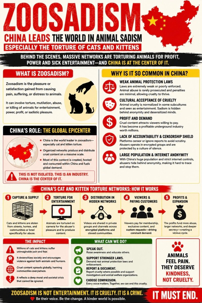 MaleficentLady's tweet photo. I'm incredulous that China Daily had the audacity to boast about China's treatment of its animals on #WorldAnimalDay.

China is the literal global epicentre of animal torture material in the entire world.

90% of GLOBAL animal torture media is produced in China because it has ZERO nation-wide companion animal protection laws. 

An animal is filmed being tortured to death in China every 2.5 hours. The vast majority of the animal victims are cats and kittens. Tens of thousands is a conservative estimate of victim number. One Chinese man recorded himself torturing, mutilating and murdering 4,500+ felines ALONE over a period of many years.

There are also zoosadistic consumers who custom order SPECIFIC BREEDS OF DOGS to be tortured.

The effrontery of @ChinaDaily to post this when Chinese people were censored, suppressed, harassed by and interrogated by police for hours for posting about Wang Wang, or ANY physical or online material promoting animal protection laws in China at all.

Shameless.

#JusticeForWangWang #WangWang #旺旺 #Jieyang #JusticeForCowcat
#EndChinasCatTortureIndustry
#CriminaliseCatTortureinChina
#Beijing #China #CCP #XiJinPing #APEC #APEC2026 #BRICS