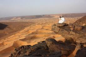 delal_ahmd's tweet photo. من كثبان الصحراء الهادئة إلى واحات النخيل، تتميز موري��انيا بجمال طبيعي فريد لا يُنسى. 🏜️🌴 https://t.co/5cOF0uRYX0