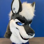 Photo by Onefurall Studios (@Onefurallstudio)