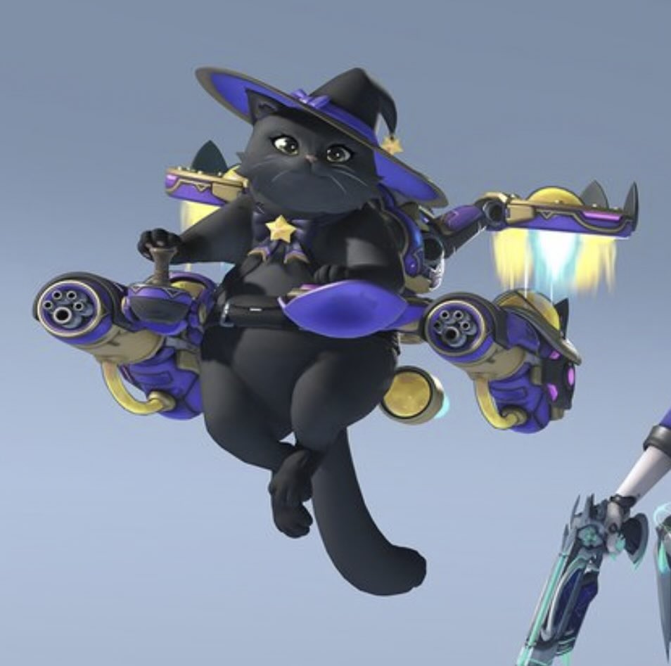 jetpackcatt's tweet photo. meowwww!! 🧙‍♀️ 🐾 https://t.co/ywFR5NHT73