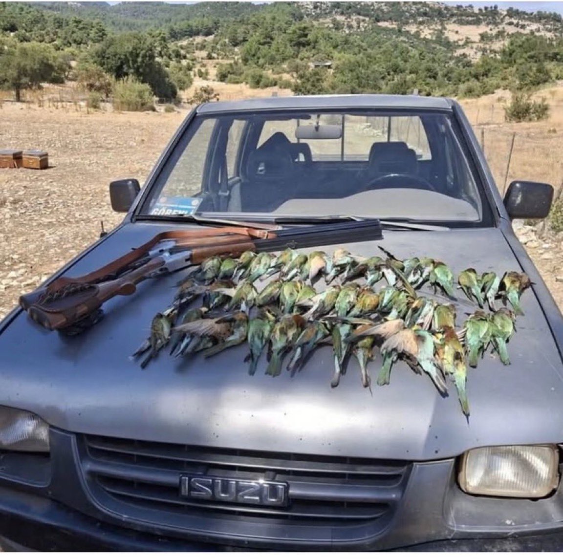 HaberKupur's tweet photo. Antalya’nın Kaş ilçesinde koruma altında bulunan 45 arı kuşunu vuran 2 kişiye sadece 84 bin 14 TL idari para cezası uygulandı.

Vurulan kuşlara el konulurken olayla ilgili yasal işlem başlatıldı. https://t.co/elAlNlYs7Q