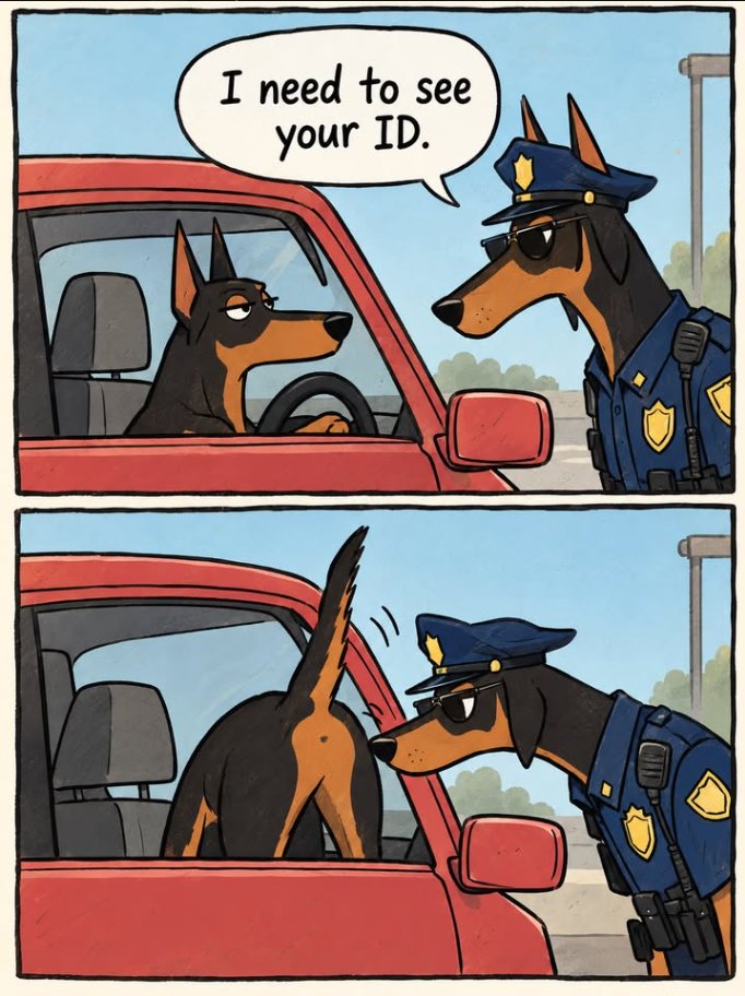 StaSiRevival's tweet photo. #Meme  #Ausweis #Polizei https://t.co/lnIglwg5H0