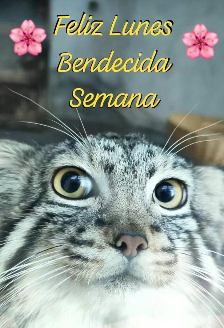 DailyMantle3's tweet photo. https://t.co/F4D9gaPIdV