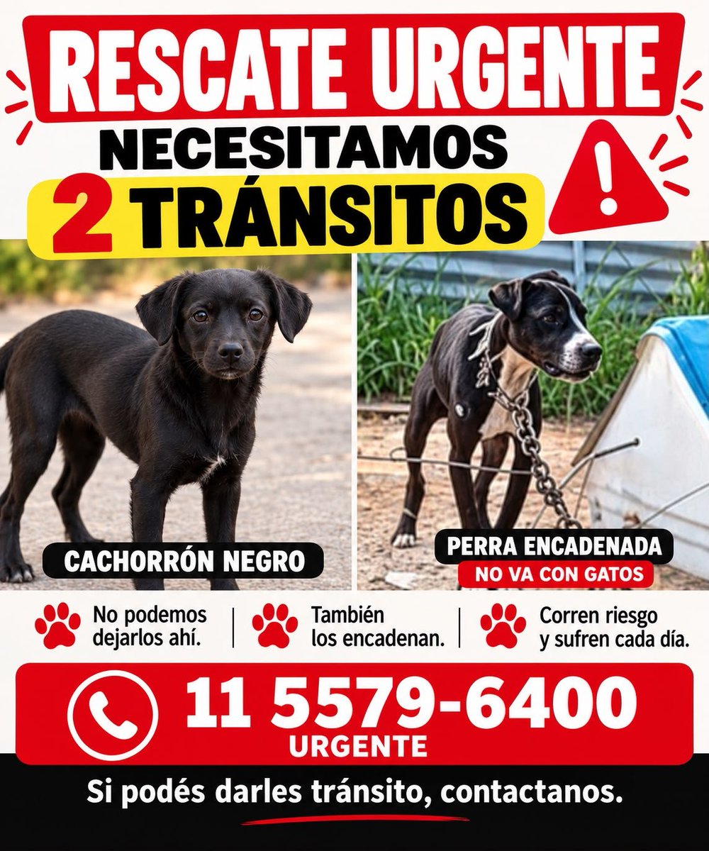 AbrilGo93588411's tweet photo. https://t.co/BNsgkz3QuI