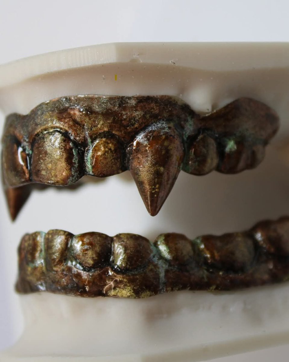 bunveh's tweet photo. also found clearer photos of akasha's fangs yummy

source: bitemakers on facebook https://t.co/k5QEGX9IuX