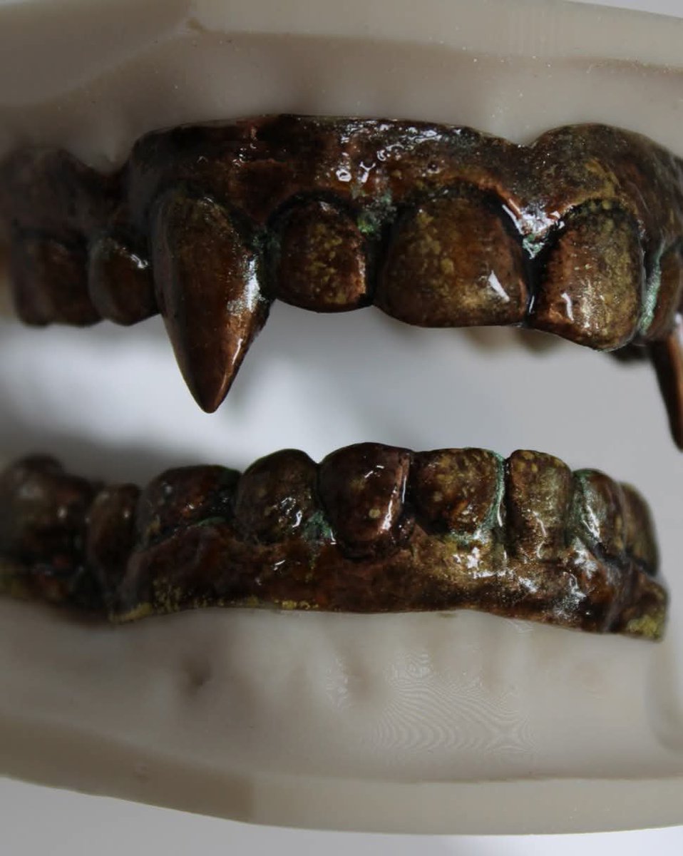 bunveh's tweet photo. also found clearer photos of akasha's fangs yummy

source: bitemakers on facebook https://t.co/k5QEGX9IuX