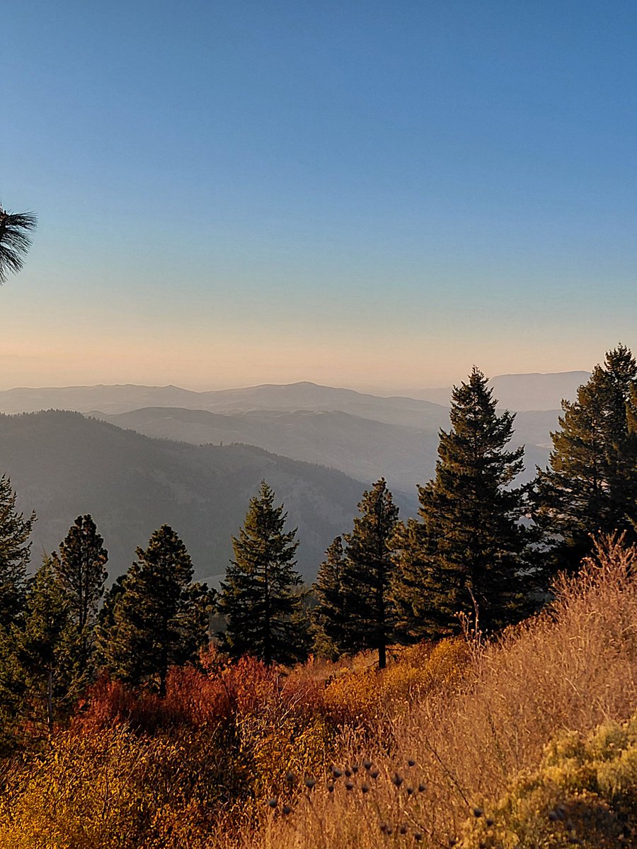7lostinthewoods's tweet photo. a cloudless sky https://t.co/WeBPt9umJ4