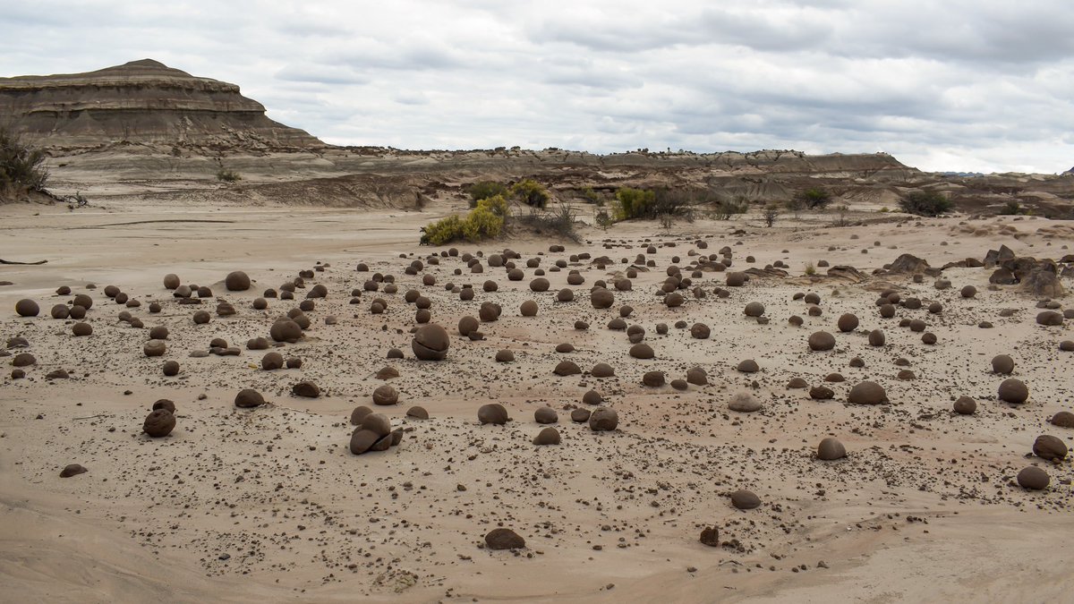 turisargentina's tweet photo. Paisajes de nuestra vasta y hermosa Argentina. 🇦🇷💙🙌

📍Parque Provincial Ischigualasto ( Provincia de San Juan )

Gracias @bedesabril21 por compartir tus hermosas fotos 🙏 https://t.co/TwKwFg6PQq