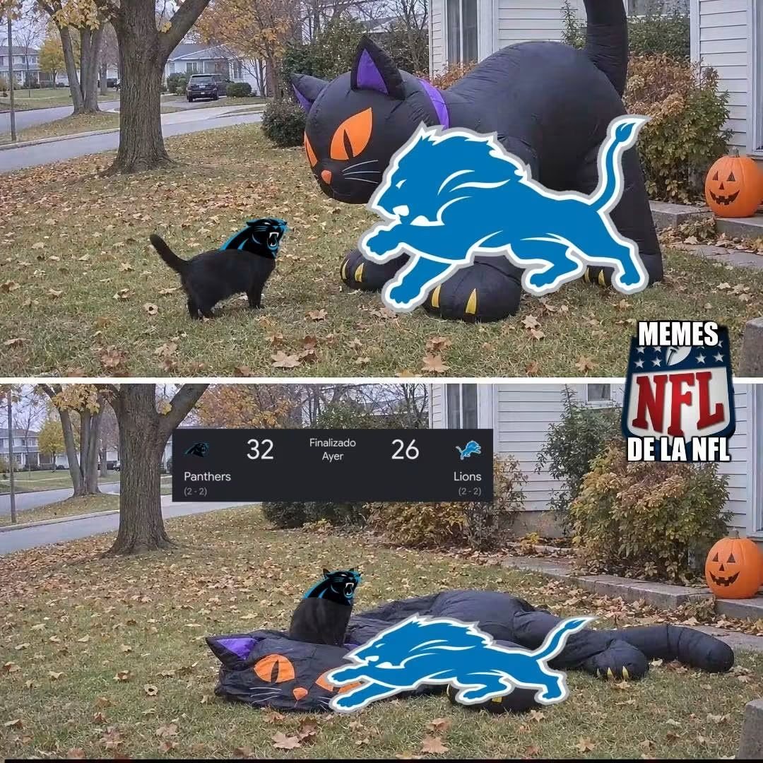 NacionMemesNFL's tweet photo. El resumen de los Cat Bowls de ayer https://t.co/Z6H00px4s3