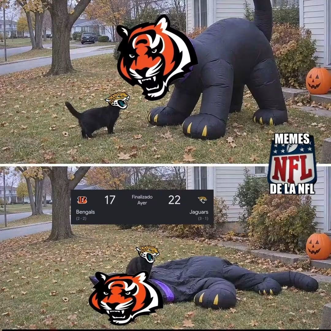 NacionMemesNFL's tweet photo. El resumen de los Cat Bowls de ayer https://t.co/Z6H00px4s3