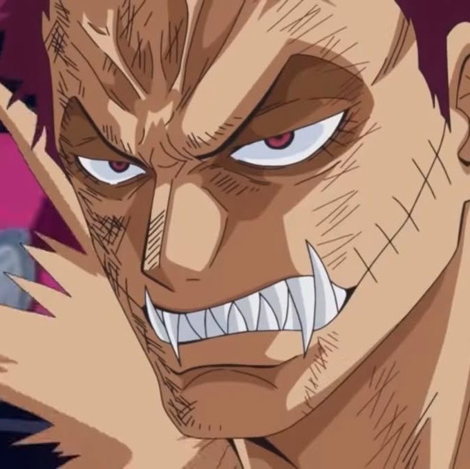 br4tty_brunette's tweet photo. me? a size kink? nooooo…👀 #sizekink #nsfwtwt #ONEPIECE〜 https://t.co/8jcsG48scj