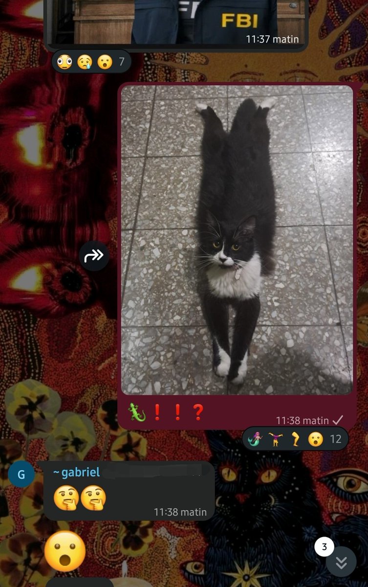 kazusitoo's tweet photo. mi vida es más feliz desde q estoi en el grupo d gatos en silencio https://t.co/V8d1yB86FV
