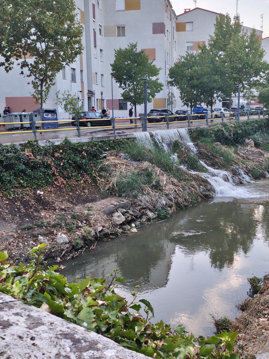 Carlosax328's tweet photo. Se convocan elecciones generales y una huelga general.

Mientras tanto la Rondilla se inunda por una tubería reventada.

El típico lunes. https://t.co/LV8nu9qSgG