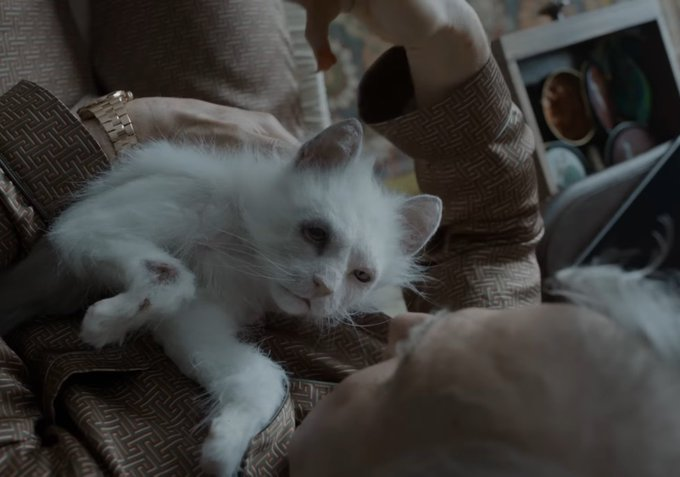 shudec's tweet photo. how your email finds me: https://t.co/CUgFQvrc0n
