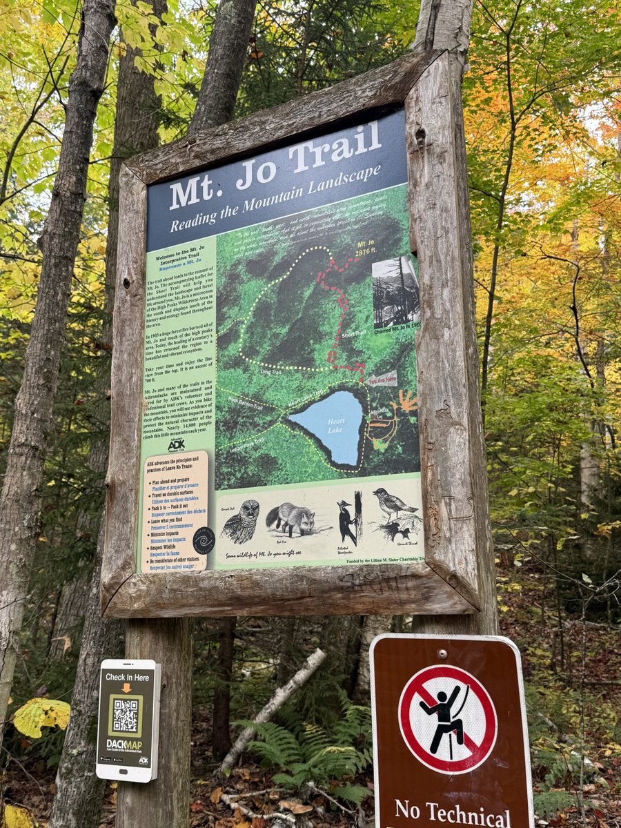 Naser_ozr's tweet photo. Fall in the Adirondacks 🍂 https://t.co/eKFgMrZirX