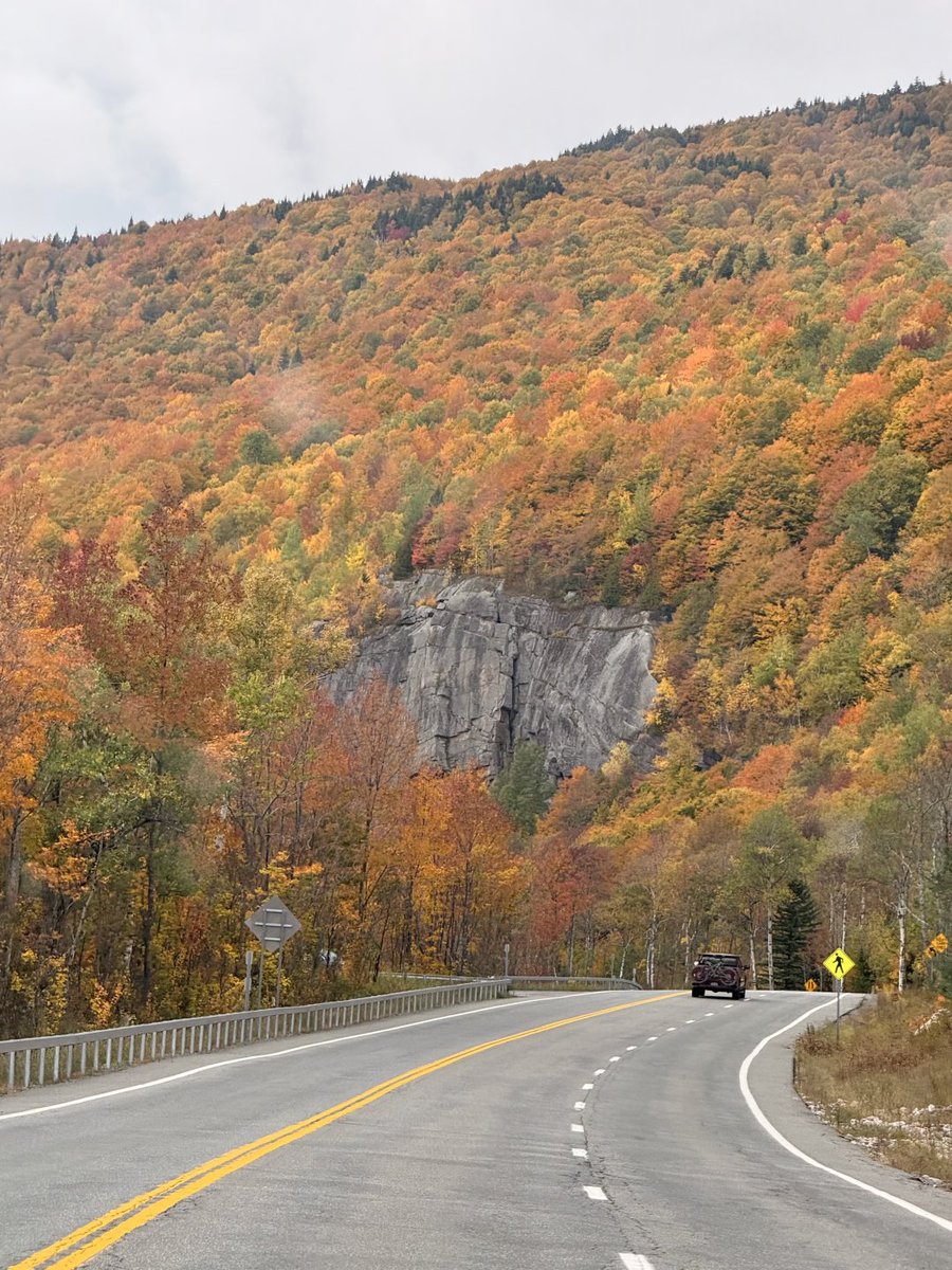 Naser_ozr's tweet photo. Fall in the Adirondacks 🍂 https://t.co/eKFgMrZirX