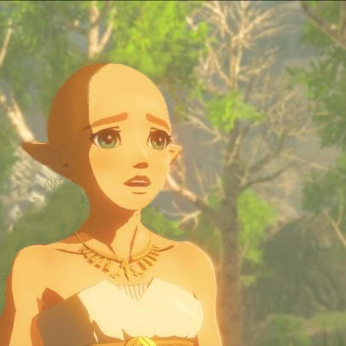 TokiN0Yuusha's tweet photo. By Hylia's grace, young one... What happened— https://t.co/yQZr9TR6d2