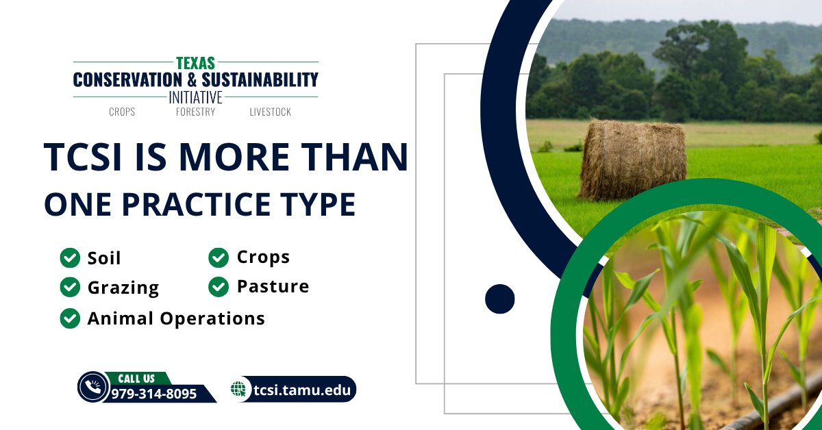 TxCSInitiative's tweet photo. TCSI is more than one type of conservation practice. Depending on the operation, eligible options may involve soil, crops, grazing, pasture or selected animal-operation practices. Start with your land, your goals and a conversation.
Learn more : https://t.co/wZK9sqCwuc
#TCSI https://t.co/79yArrYj6U