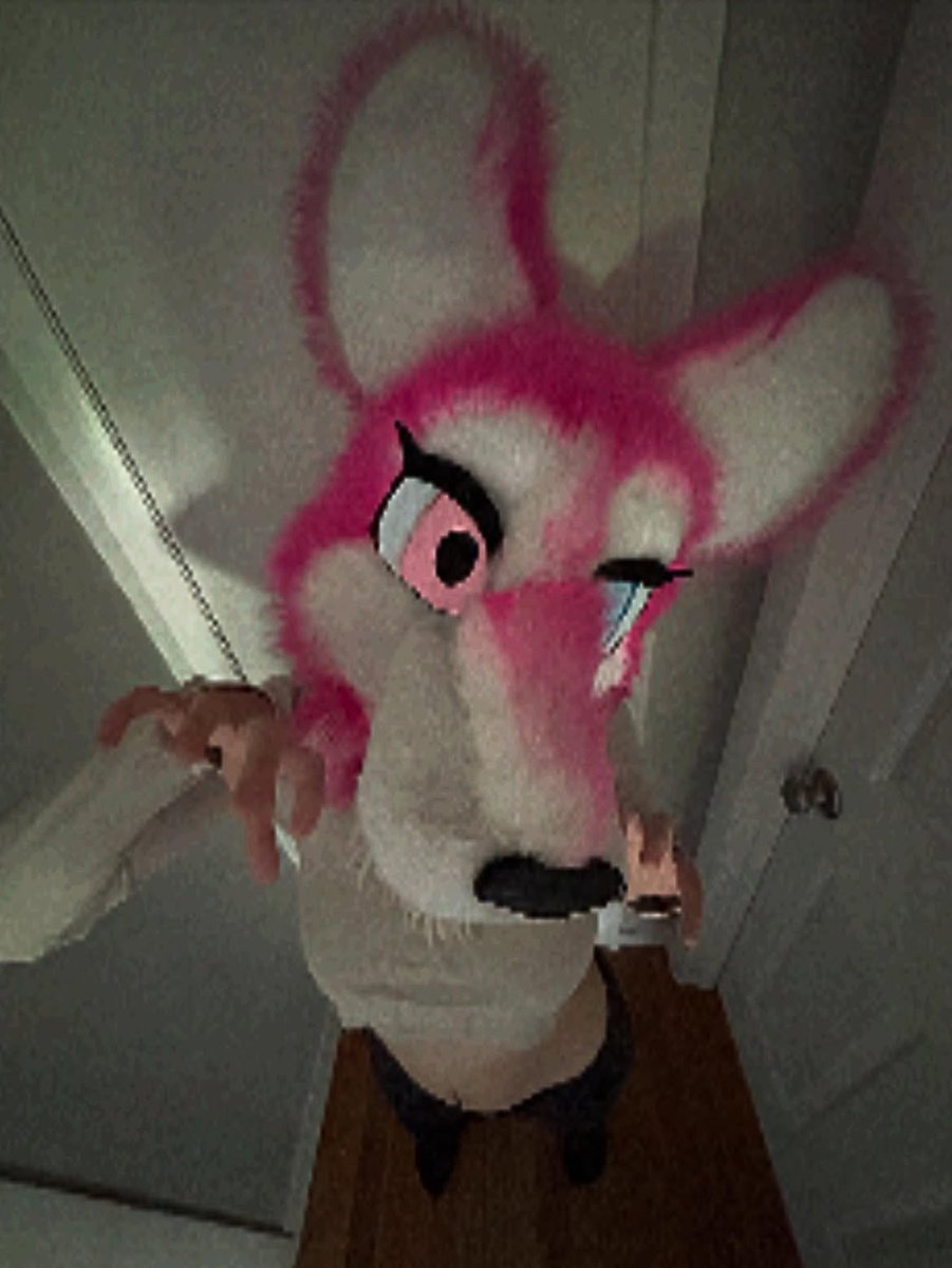 emilygraced74i's tweet photo. Bitch I'm cute💗
#fypシ゚viral #furryart #fursuitdance #nsfw #goon https://t.co/ya6XYJAozp