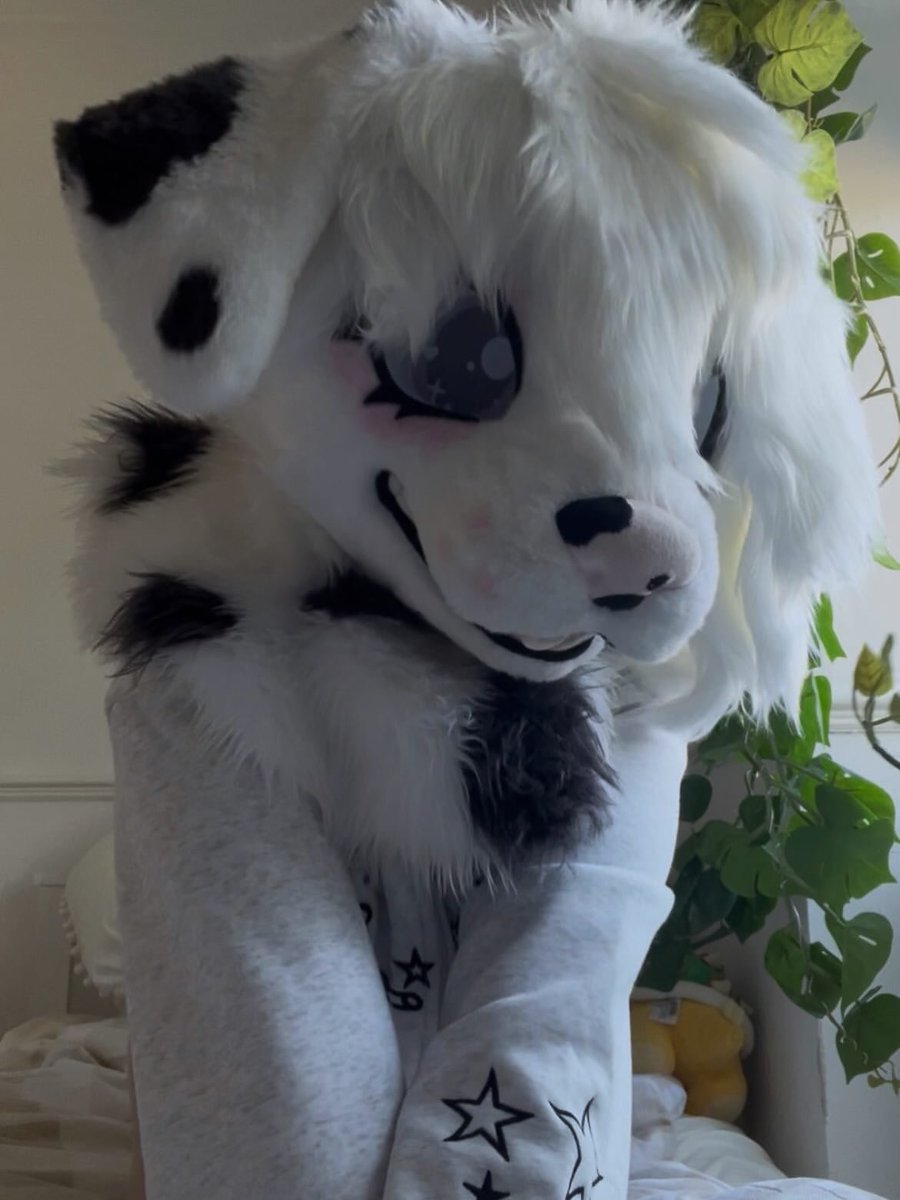 pawrielle's tweet photo. 🐶🌹 Shit posting because why not 🌹🐶 #furry #furryocs #puppygram #fypシ゚viralシfypシ゚ #furrymeme https://t.co/4lEUfnOnb1