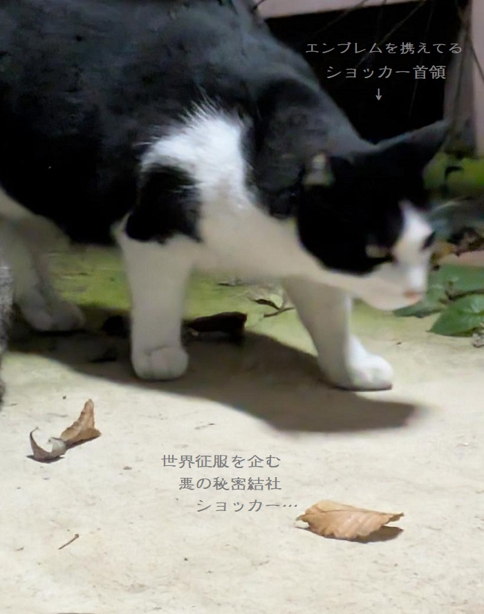shimasisland's tweet photo. 世界征服を企む悪の秘密結社・ショッカー

（しょうもない画像を作ってしまった…
　寝よう、疲れてるんだ、きっと…😔） https://t.co/DgGb6uQzIk