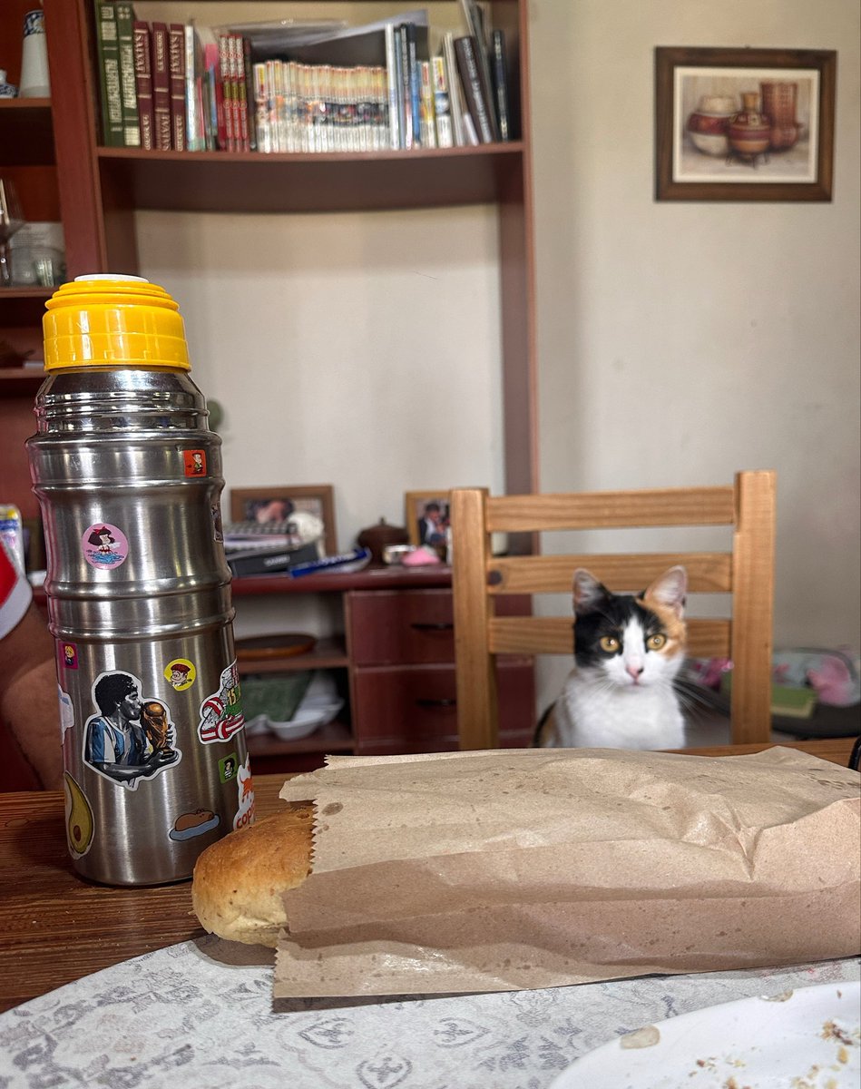 annapppau's tweet photo. Compré completamente con lo de grupos de gatos en silencio y no puedo entrar a ninguno se están privando de ver a arcoíris disociando https://t.co/ZOzjWfjOPO