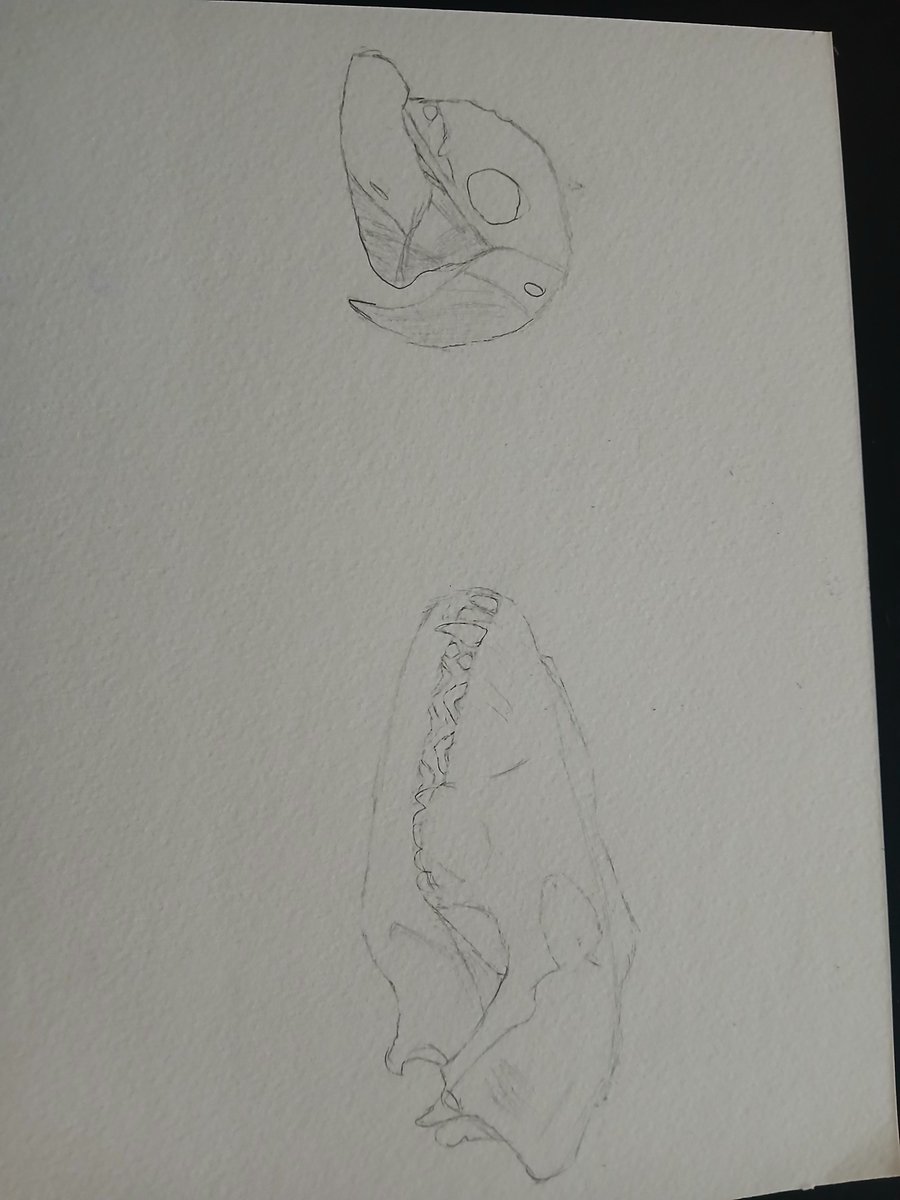 glowfies_'s tweet photo. Making some BULLSHI in art class https://t.co/RZQc0k7Niv